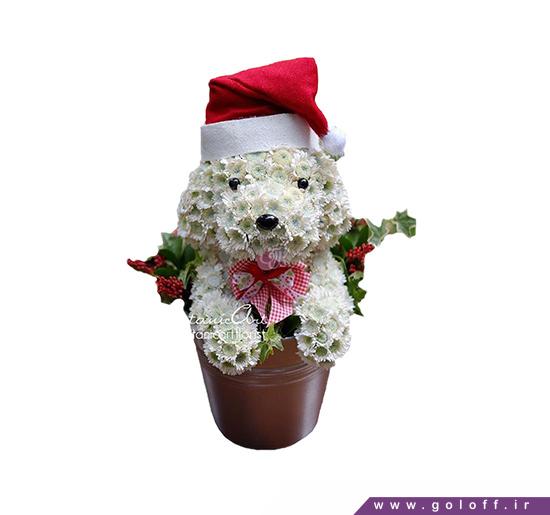 گل نوزاد - سبد گل زایمان سگ سفید - Flower Toy | گل آف